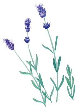 完全予約制の落ち着いた空間